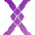 Plexicam